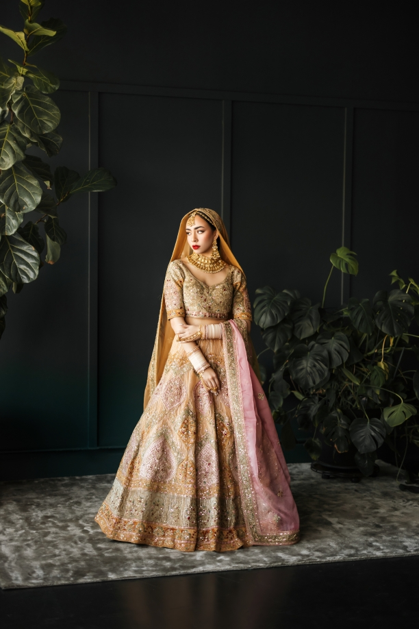 designer champagne gold lehenga blush